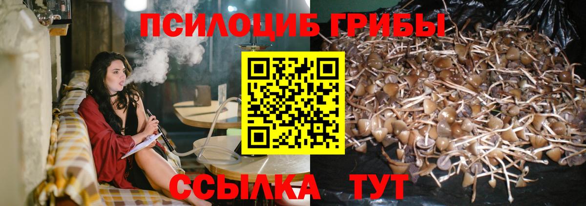 где найти   Вход с VPN  Воронеж  Псилоцибиновые грибы GOLDEN TEACHER 
