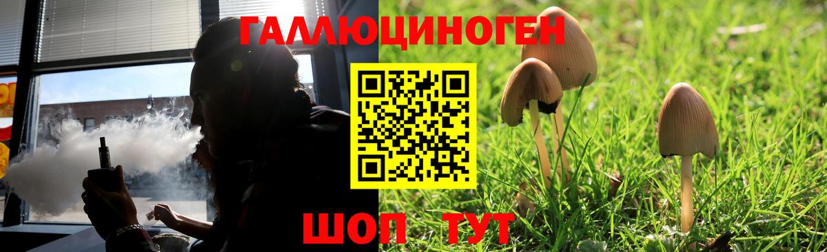 Галлюциногенные грибы Magic Shrooms Воронеж